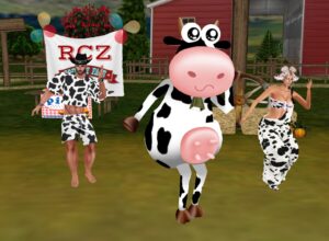 cow herd with KAM shhh